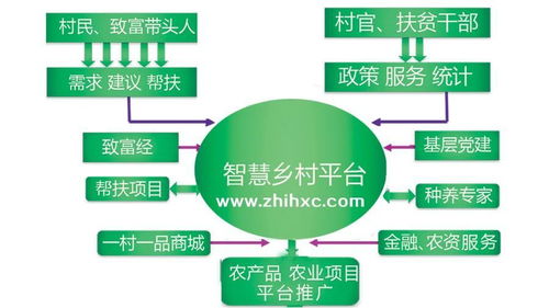 數字鄉村 概念解析與實踐路徑——信息技術咨詢服務視角